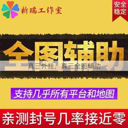 真三外挂,真三全图辅助 第1张 真三外挂,真三全图辅助 第1张