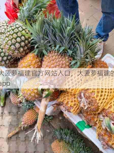 大菠萝福建官方网站入口,大菠萝福建的app 第1张 大菠萝福建官方网站入口,大菠萝福建的app 第1张