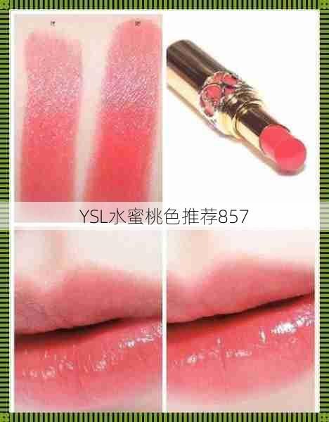 YSL水蜜桃色推荐857 第1张 YSL水蜜桃色推荐857 第1张