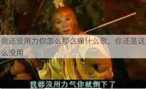我还没用力你怎么那么痛什么歌,你还是这么没用 第1张 我还没用力你怎么那么痛什么歌,你还是这么没用 第1张