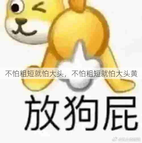 不怕粗短就怕大头,不怕粗短就怕大头黄 第1张 不怕粗短就怕大头,不怕粗短就怕大头黄 第1张