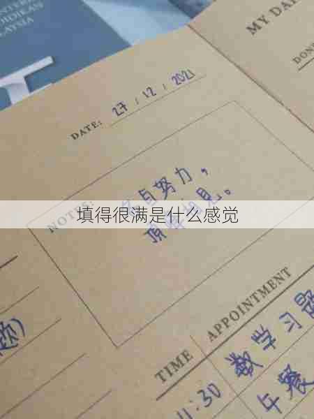 填得很满是什么感觉 第1张 填得很满是什么感觉 第1张