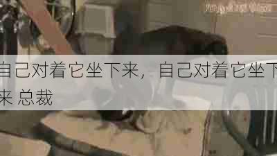 自己对着它坐下来,自己对着它坐下来 总裁 第1张 自己对着它坐下来,自己对着它坐下来 总裁 第1张