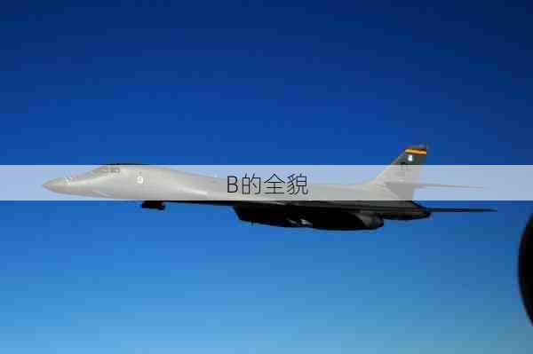 B的全貌 第1张 B的全貌 第1张