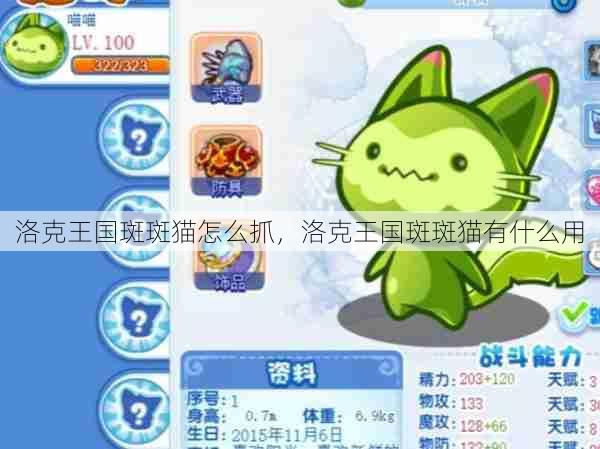 洛克王国斑斑猫怎么抓,洛克王国斑斑猫有什么用 第1张 洛克王国斑斑猫怎么抓,洛克王国斑斑猫有什么用 第1张